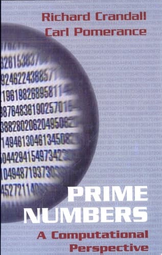Prime Numbers A Computational Perspectives