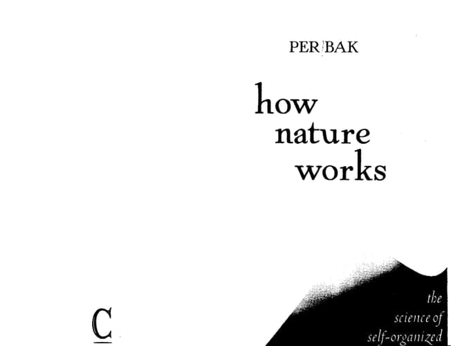 How Nature Works: The Science of Self-organized Criticality