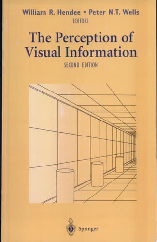 The Perception of Visual Information