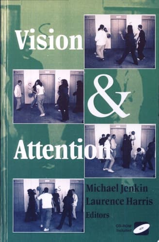 Vision and Attention
