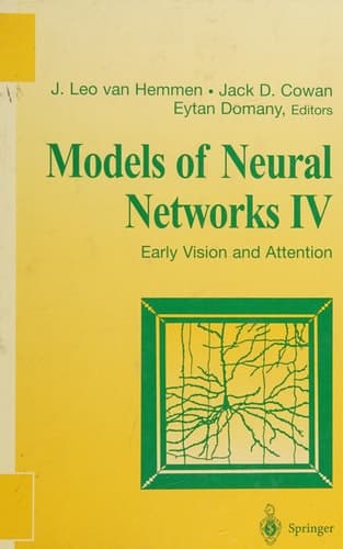 Models of Neural Networks IV Early Vision and Attention