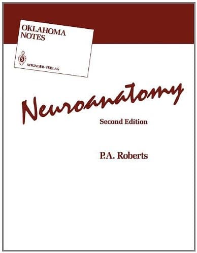 Neuroanatomy