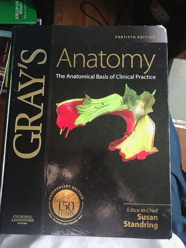 Gray's Anatomy The Anatomical Basis of Clinical Practice