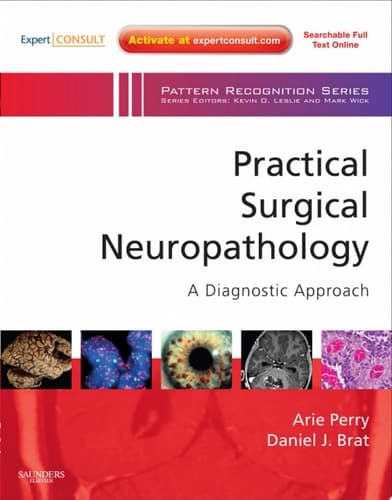 Practical Surgical Neuropathology A Diagnostic Approach
