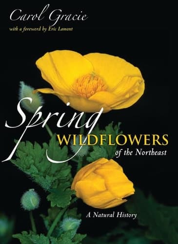 Spring Wildflowers of the Northeast A Natural History