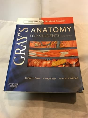 Anatomy Uncovered