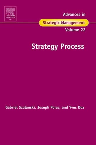 Strategy Process, Volume 22 (Advances in Strategic Management) (Advances in Strategic Management, 22)