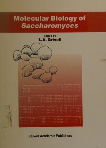 Molecular Biology of Saccharomyces