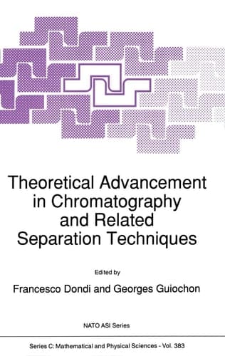 Theoretical Advancement in Chromatography and Related Separation Techniques (NATO Science Series C: (closed))