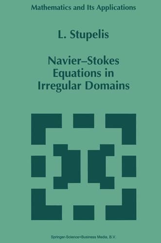 Navier-Stokes Equations in Irregular Domains (Mathematics and Its Applications, 326)