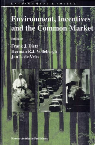 Environment, Incentives and the Common Market