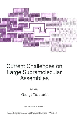 Current Challenges on Large Supramolecular Assemblies (NATO Science Series C: (closed))