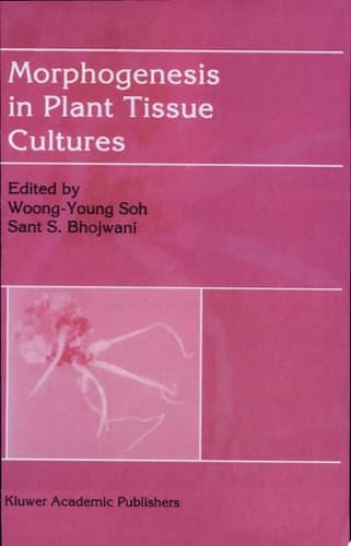 Morphogenesis in Plant Tissue Cultures