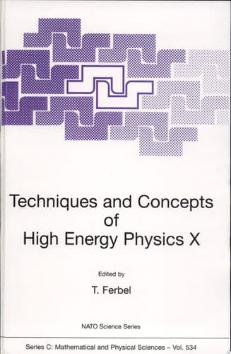 Techniques and Concepts of High Energy Physics X