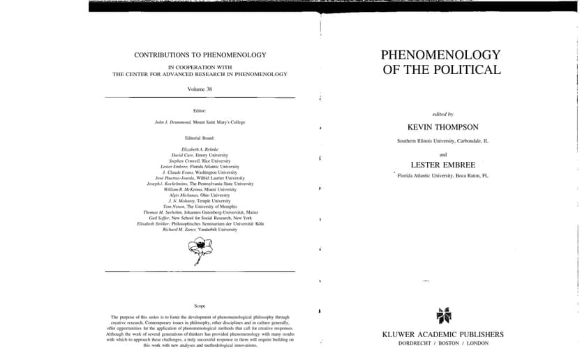 Phenomenology of the Political