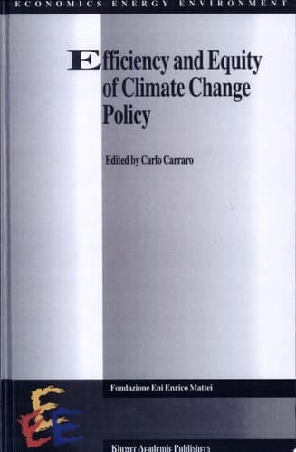 Efficiency and Equity of Climate Change Policy