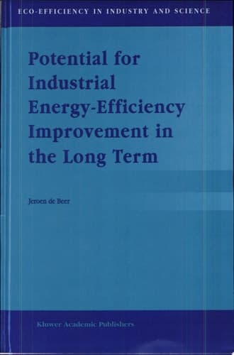 Potential for Industrial Energy-Efficiency Improvement in the Long Term