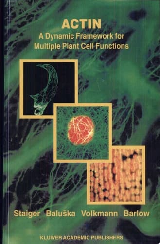 Actin: A Dynamic Framework for Multiple Plant Cell Functions