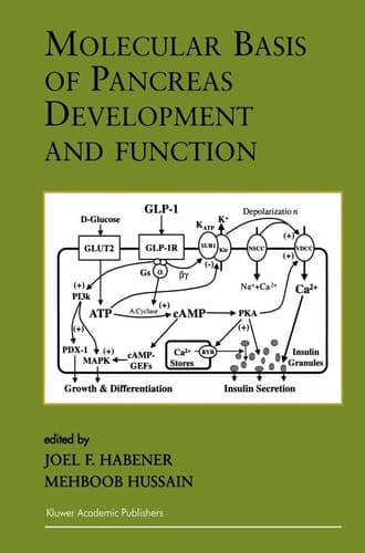 Molecular Basis of Pancreas Development and Function (Endocrine Updates, 11)
