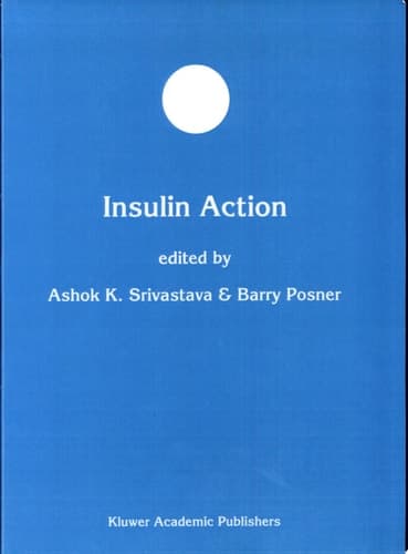 Insulin Action