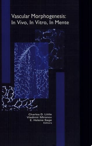 Vascular Morphogenesis: In Vivo, In Vitro, In Mente