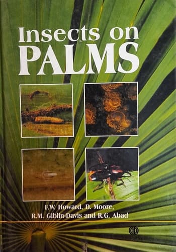 Insects on Palms