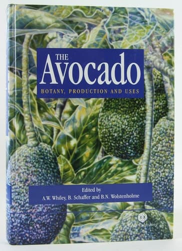 The Avocado Botany, Production, and Uses