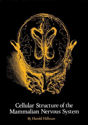 Cellular Structure of the Mammalian Nervous System: A Re-examination, and some consequences for neurobiology