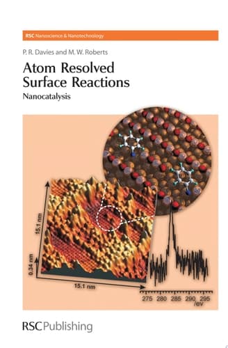 Atom Resolved Surface Reactions Nanocatalysis