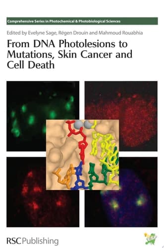 From DNA Photolesions to Mutations, Skin Cancer and Cell Death