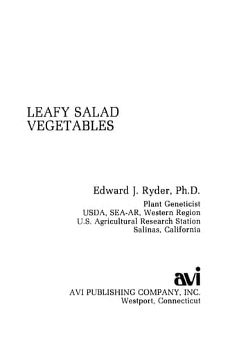 Leafy Salad Vegetables