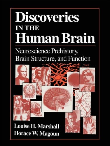 discoveries-in-the-human-brain