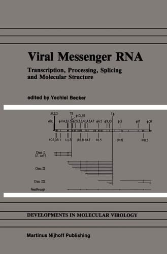 Viral Messenger RNA: Transcription, Processing, Splicing and Molecular Structure (Developments in Molecular Virology, 7)