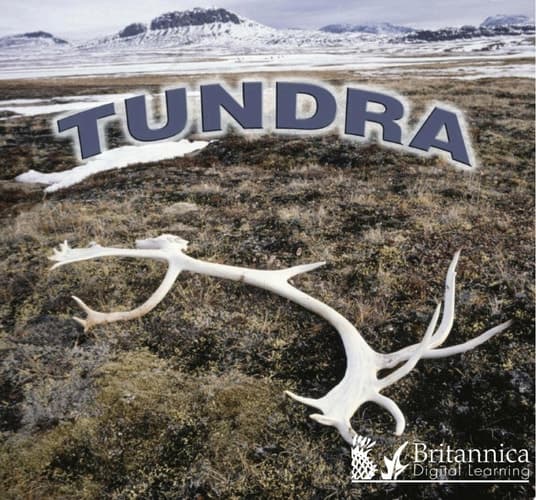 Tundra