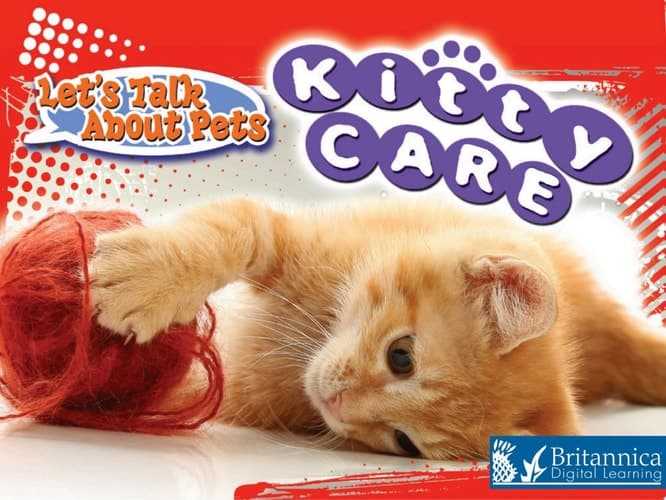 Kitty Care