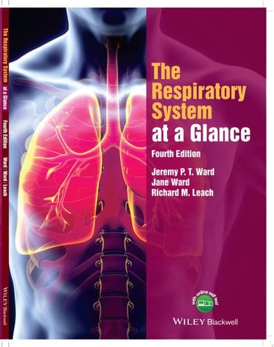 The Respiratory System at a Glance