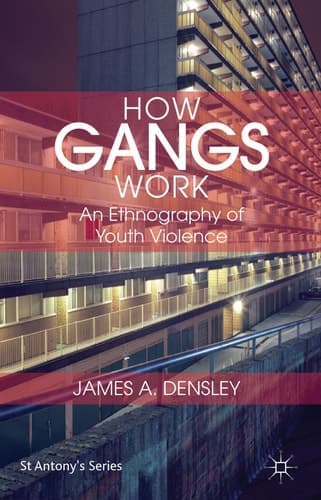 How Gangs Work An Ethnography of Youth Violence