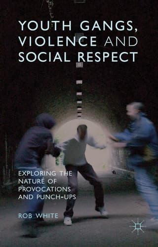 Youth Gangs, Violence and Social Respect Exploring the Nature of Provocations and Punch-Ups