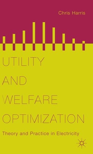 Utility and Welfare Optimization Theory and Practice in Electricity