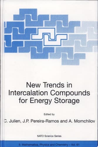 New Trends in Intercalation Compounds for Energy Storage