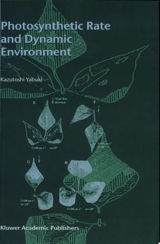 Photosynthetic Rate and Dynamic Environment