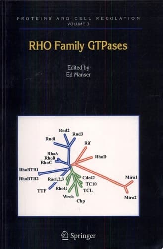 Rho Family GTPases