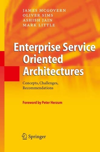 Enterprise Service Oriented Architectures Concepts, Challenges, Recommendations