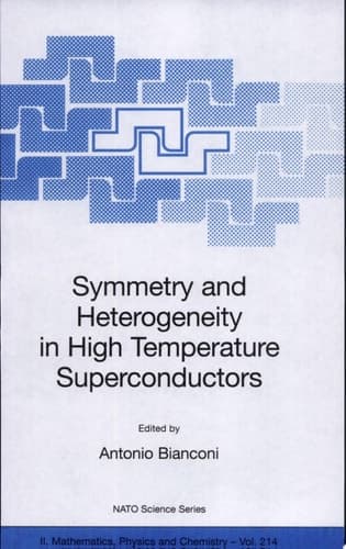 Symmetry and Heterogeneity in High Temperature Superconductors