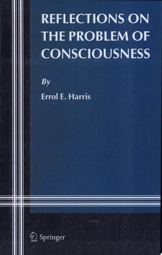 Reflections on the Problem of Consciousness