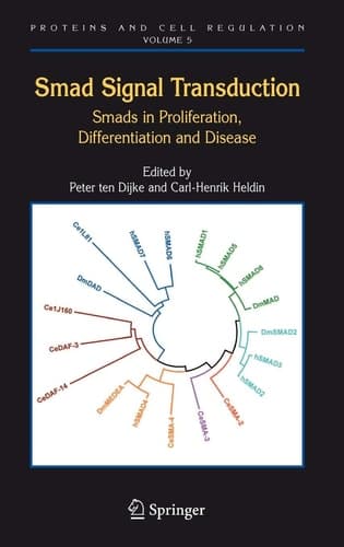 Smad Signal Transduction Smads in Proliferation, Differentiation and Disease