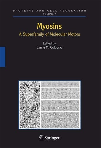 Myosins A Superfamily of Molecular Motors