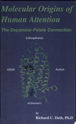 Molecular Origins of Human Attention The Dopamine-Folate Connection