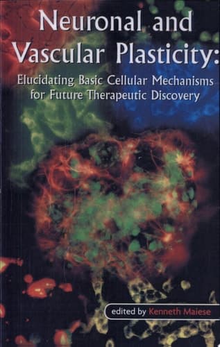 Neuronal and Vascular Plasticity Elucidating Basic Cellular Mechanisms for Future Therapeutic Discovery