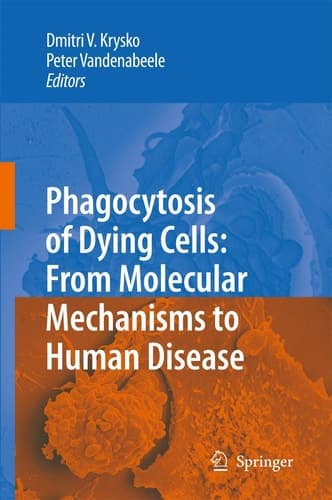 Phagocytosis of Dying Cells From Molecular Mechanisms to Human Diseases